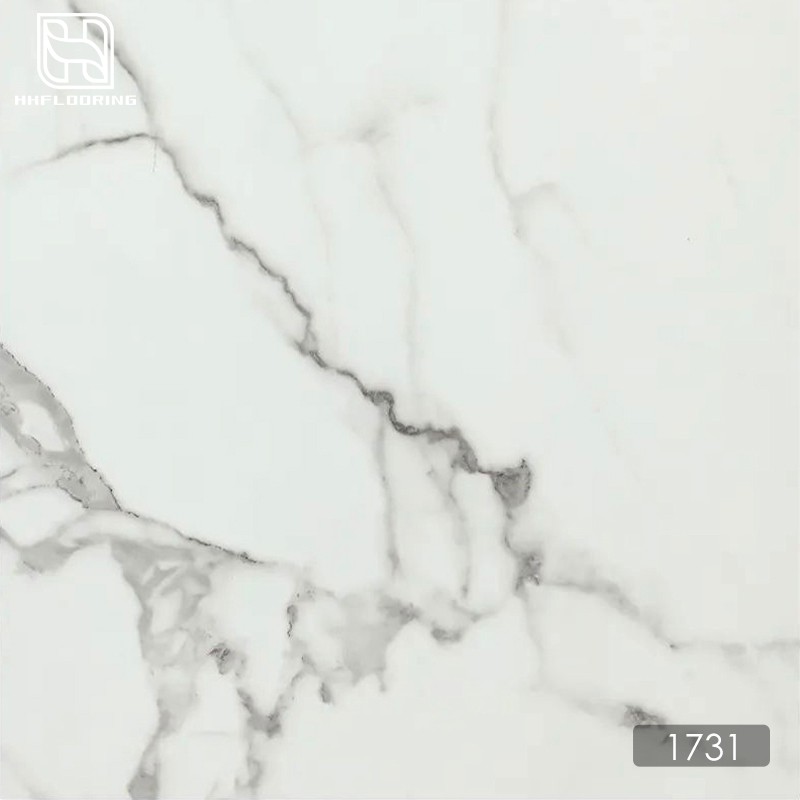 product-800-800 product-800-800